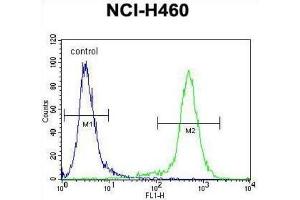 Flow Cytometry (FACS) image for anti-Lipocalin 9 (LCN9) antibody (ABIN2996344) (LCN9 anticorps)