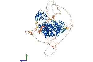 AlphaFold protein structure predicition of Mouse Recombinant Dlg3 Protein, UniprotID P70175
