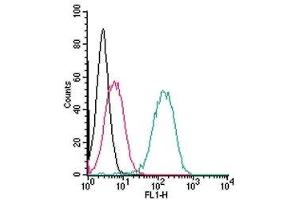 Cell surface detection of Robo1 live intact human THP-1 monocytic leukemia cells: (black line) Cells.