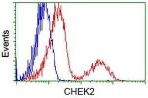 Flow Cytometry (FACS) image for anti-Checkpoint Kinase 2 (CHEK2) antibody (ABIN1497499) (CHEK2 anticorps)