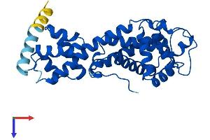 AlphaFold protein structure predicition of Human Recombinant ELMOD2 Protein, UniprotID Q8IZ81