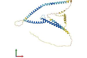 AlphaFold protein structure predicition of Human Recombinant TFAP4 Protein, UniprotID Q01664