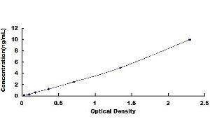 Typical standard curve (KEAP1 Kit ELISA)
