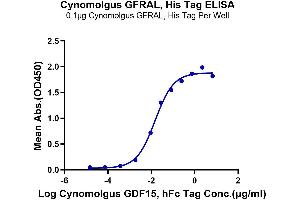 Immobilized Cynomolgus GFRAL, His Tag at 1 μg/mL (100 μL/Well) on the plate.