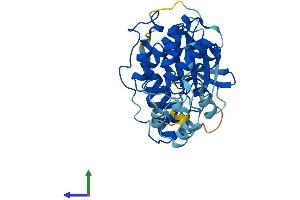AlphaFold protein structure predicition of Human Recombinant MAPK13 Protein, UniprotID O15264