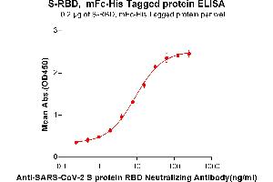ELISA plate pre-coated by 2 μg/mL (100 μL/well) SARS-CoV-2 (2019-nCoV) S protein RBD, mFc-His tagged protein (ABIN6961147, ABIN7042323 and ABIN7042324) can bind Anti-SARS-CoV-2 S protein RBD Neutralizing Antibody (A neutralizing monoclonal antibody clone currently under clinical investigation from collaboration company) in a linear range of 0.