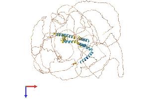 AlphaFold protein structure predicition of Human Recombinant RTN4 Protein, UniprotID Q9NQC3