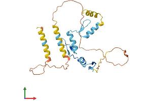 AlphaFold protein structure predicition of Human Recombinant KLF9 Protein, UniprotID Q13886
