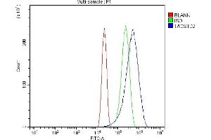 Flow Cytometry analysis of RT4 cells using anti-TROP2/TACSTD2 antibody (ABIN7603102). (TACSTD2 anticorps  (Middle Region))