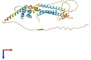 AlphaFold protein structure predicition of Human Recombinant APOL3 Protein, UniprotID O95236