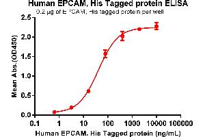 ELISA plate pre-coated by 2 μg/mL (100 μL/well) Human EPCAM Protein, His Tag (ABIN6961126, ABIN7042281 and ABIN7042282) can bind Anti-EPCAM antibody(DM147), Rabbit mAb in a linear range of 3.