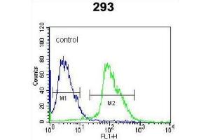 Flow Cytometry (FACS) image for anti-Kallikrein 7 (KLK7) antibody (ABIN3002618) (Kallikrein 7 anticorps)