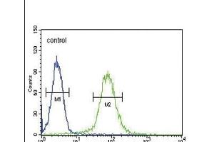 SMS Antibody (ABIN652064 and ABIN2840532) flow cytometric analysis of Hela cells (right histogram) compared to a negative control cell (left histogram). (SMS anticorps)