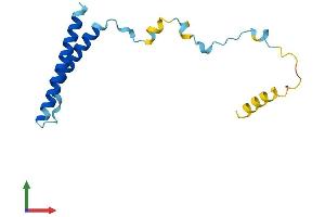 AlphaFold protein structure predicition of Human Recombinant MMGT1 Protein, UniprotID Q8N4V1