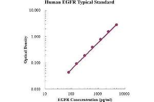 ELISA image for Epidermal Growth Factor Receptor (EGFR) ELISA Kit (ABIN3199214)