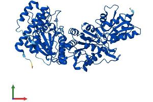 AlphaFold protein structure predicition of Human Recombinant TKT Protein, UniprotID P29401