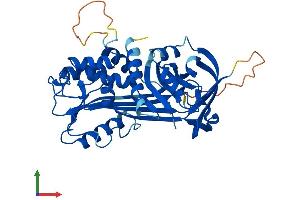 AlphaFold protein structure predicition of Human Recombinant SERPINB3 Protein, UniprotID P29508