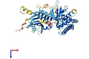 AlphaFold protein structure predicition of Human Recombinant C9orf72 Protein, UniprotID Q96LT7