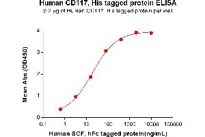 ELISA plate pre-coated by 1 μg/mL (100 μL/well) Human CD117, His tagged protein (ABIN6964116) can bind Human SCF, hFc tagged protein  in a linear range of 3. (KIT Protein (His tag))