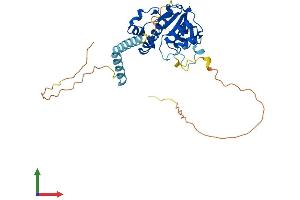 AlphaFold protein structure predicition of Mouse Recombinant Trmt10a Protein, UniprotID Q8C1Z8