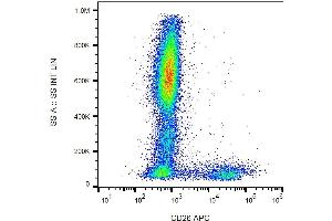 Surface staining of human peripheral blood cells with anti-human CD26 (BA5b) APC.