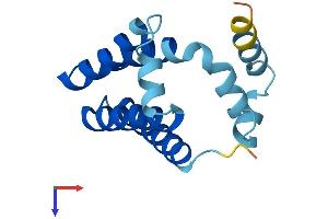 AlphaFold protein structure predicition of Mouse Recombinant Golt1b Protein, UniprotID Q9CR60