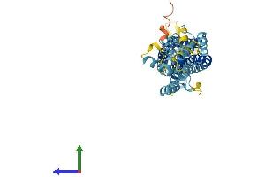 AlphaFold protein structure predicition of Human Recombinant PANX3 Protein, UniprotID Q96QZ0