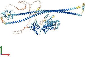 AlphaFold protein structure predicition of Human Recombinant CARD14 Protein, UniprotID Q9BXL6