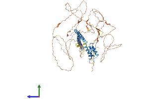 AlphaFold protein structure predicition of Mouse Recombinant Tab2 Protein, UniprotID Q99K90