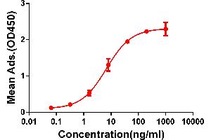 ELISA plate pre-coated by 2 μg/mL (100 μL/well) Human CD28 protein, mFc-His tagged protein ABIN6961087, ABIN7042203 and ABIN7042204 can bind Rabbit anti-CD28 monoclonal antibody (clone: DM63) in a linear range of 1-100 ng/mL.