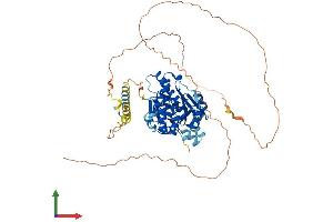 AlphaFold protein structure predicition of Mouse Recombinant Nt5c1b Protein, UniprotID Q91YE9