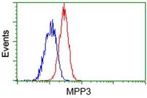 Flow cytometric Analysis of Jurkat cells, using anti-MPP3 antibody (ABIN2453326), (Red), compared to a nonspecific negative control antibody (ABIN2453326), (Blue). (MPP3 anticorps)