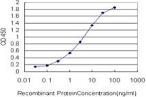 Detection limit for recombinant GST tagged UBE2S is approximately 0. (UBE2S anticorps  (AA 1-222))