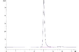 The purity of Biotinylated Cynomolgus FAP is greater than 95 % as determined by SEC-HPLC.