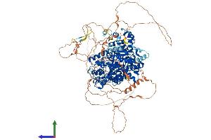 AlphaFold protein structure predicition of Mouse Recombinant FAM120A Protein, UniprotID Q6A0A9