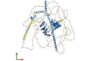 AlphaFold protein structure predicition of Mouse Recombinant Ppp1r12a Protein, UniprotID Q9DBR7