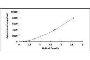 Aminoacyl tRNA Synthetase Complex-Interacting Multifunctional Protein 1 (AIMP1) ELISA Kit