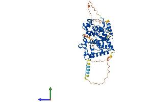 AlphaFold protein structure predicition of Human Recombinant GAL3ST4 Protein, UniprotID Q96RP7