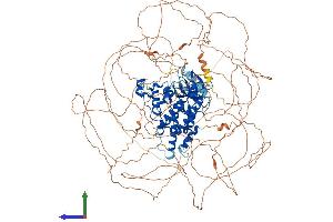 AlphaFold protein structure predicition of Human Recombinant HIPK2 Protein, UniprotID Q9H2X6