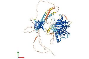 AlphaFold protein structure predicition of Human Recombinant OSBPL7 Protein, UniprotID Q9BZF2