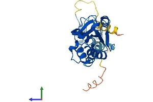 AlphaFold protein structure predicition of Mouse Recombinant Pdc Protein, UniprotID Q9QW08