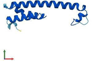 AlphaFold protein structure predicition of Human Recombinant PSENEN Protein, UniprotID Q9NZ42