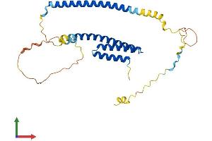 AlphaFold protein structure predicition of Mouse Recombinant Nrbf2 Protein, UniprotID Q8VCQ3