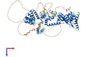 AlphaFold protein structure predicition of Human Recombinant LONRF3 Protein, UniprotID Q496Y0