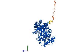 AlphaFold protein structure predicition of Human Recombinant OGG1 Protein, UniprotID O15527