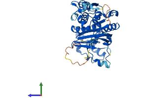 AlphaFold protein structure predicition of Mouse Recombinant Sae1 Protein, UniprotID Q9R1T2