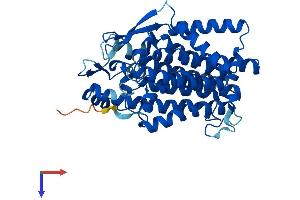 AlphaFold protein structure predicition of Mouse Recombinant Tm7sf2 Protein, UniprotID Q71KT5
