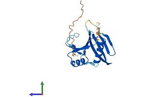 AlphaFold protein structure predicition of Human Recombinant OAZ2 Protein, UniprotID O95190