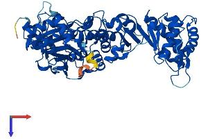 AlphaFold protein structure predicition of Human Recombinant NAPRT Protein, UniprotID Q6XQN6