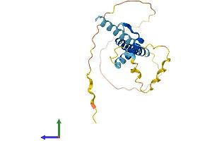 AlphaFold protein structure predicition of Human Recombinant SCX Protein, UniprotID Q7RTU7